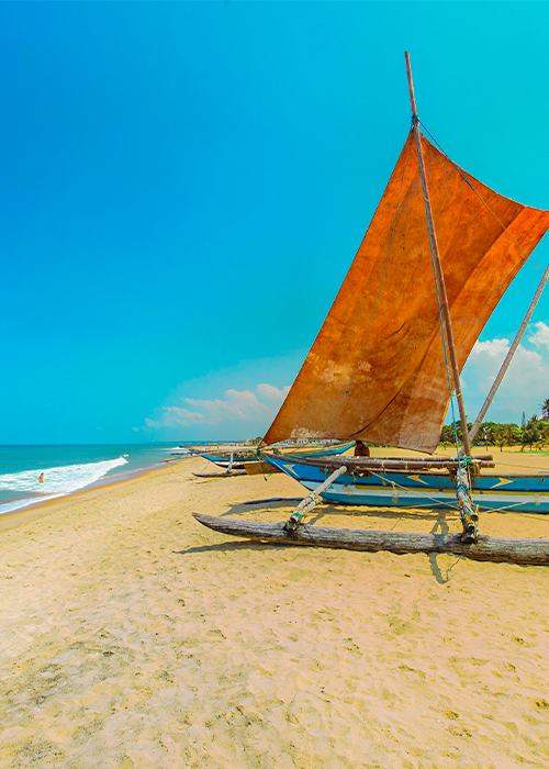 Untitled-2-1.png